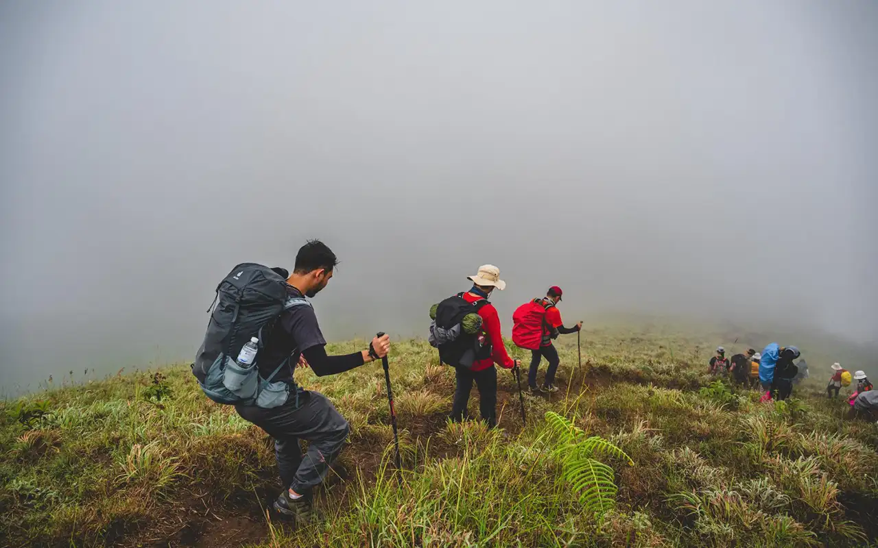 Hikers climbing misty mountain trail with trekking poles